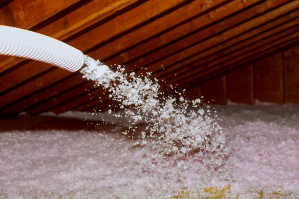 Best Fiberglass Insulation  in Warminster Heights, PA