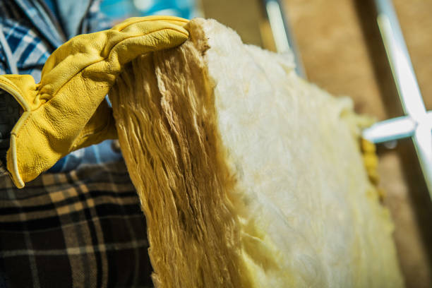 Best Local Insulation Services  in Warminster Heights, PA