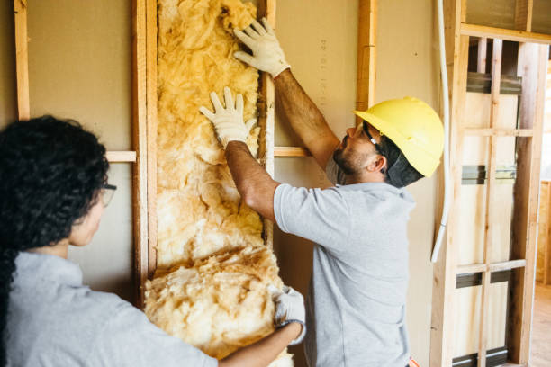 Best Insulation Contractor Near Me  in Warminster Heights, PA