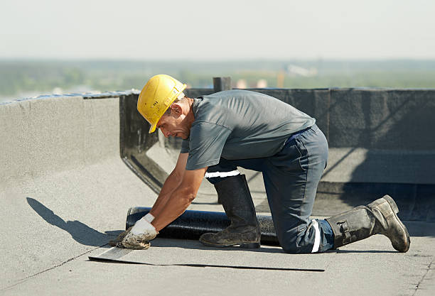 Best Insulation for New Construction  in Warminster Heights, PA