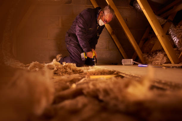 Best Insulation Repair Services  in Warminster Heights, PA